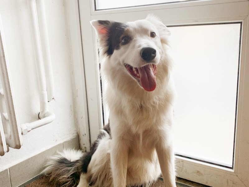 Post freuem neuem…&nbsp;MMXIII