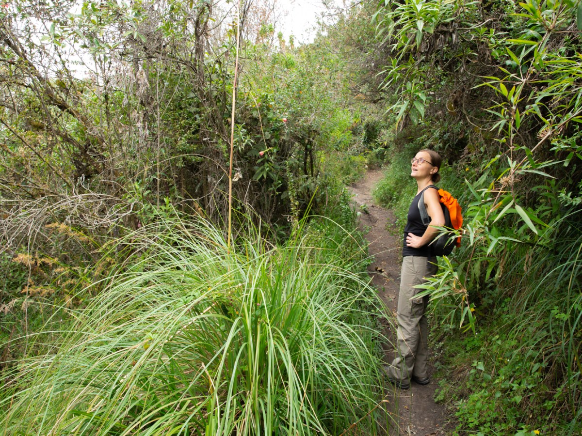 Ecuador first days. Quito. Teleférico. Sickness de Montaña en 4000&nbsp;metros.