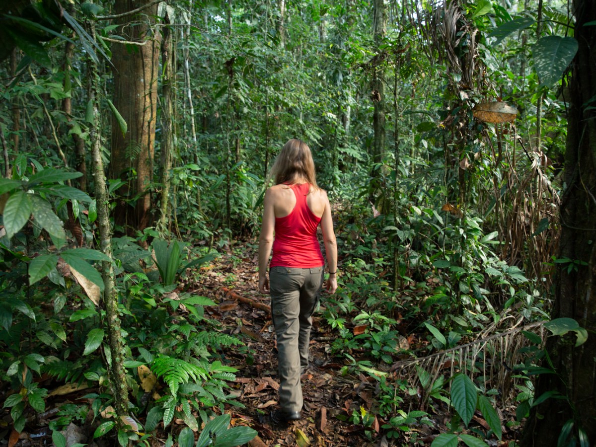 Don’t say adiós en el paraíso&nbsp;verde!
